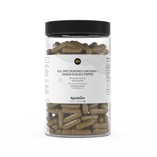 250 Curcumin & Ingwer-Kapseln